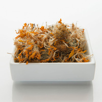 4105 Shan Jin Che Hua Factory Supply 100g Fleurs d'Arnica Montana séchées naturelles, thé santé brut en vrac, boîte