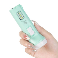 Éclairage d'urgence multifonctionnel Mini lampe de poche à LED rechargeable Torche électrique Produit de camping 90 IP68 plomb acide NH 85 2500