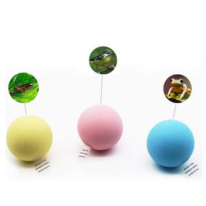 Juguete Clásico Eva para Mascotas, Sonido de Aves e Insectos, Pompones Divertidos con Catnip, Pelota Sonora para Gatos, Suministros para Mascotas - Product Image 6