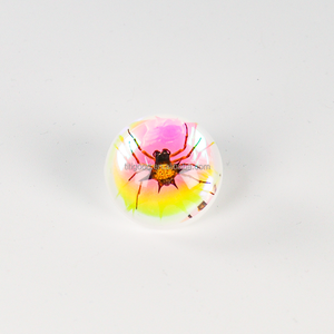 Especímen de Resina de Insecto, Taxidermia de Hormiga, Artesanía de Resina, Pin de Especímen Animal, Regalo de Halloween, Juguete de Resina Epoxi, <span class=keywords><strong>Insectos</strong></span> Taxidermizados - Product Image 2