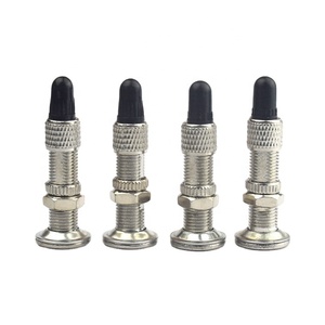Accessoire de vélo de route Iron Donkey Old British <span class=keywords><strong>Valve</strong></span> Core avec <span class=keywords><strong>valve</strong></span> de pneu en laiton - Product Image 1