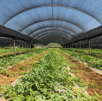 Rouleau de filet pare-soleil noir pour pépinière, tunnel, verger, arbres fruitiers, ferme, légumes, protection des cultures extérieures et des plantes