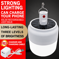 Lampe d'urgence portable solaire à double charge LED ultra-lumineuse pour camping, éclairage de nuit, panne de courant, pêche