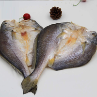 Offre Spéciale : Poisson Papillon Jaune (Petit Croaker) Congelé, Certifié HACCP, Congélation BQF, Origine Chine, Durée de Conservation 12 Mois