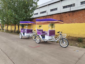 Vélo-taxi Électrique Rétro pour Tourisme, Vente en Gros Usine - Product Image 4