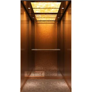 Fujisj casa elevador com 3 andares edifício custo todos tipo elevador