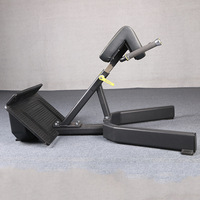 Équipement de musculation pour salle de sport, chaise romaine, hyper abdominaux, extension dorsale