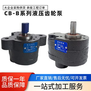 Bomba de Engranajes Hidráulica Serie CB B, CBW 10 B10 24 5 M, Venta Directa de Fábrica - Product Image 5