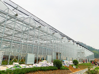 GT Smart Cadre en acier galvanisé à faible coût Serres solaires passives Venlo en verre trempé Fabricant agricole