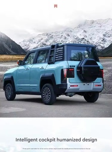 Vehículos de Nueva Energía, Sistema de Voz en Inglés para Vehículos Eléctricos, Vehículo de Baja Velocidad con Gran Espacio - Product Image 5