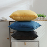 Coussin confortable en velours, oreiller de chaise, de dossier, doux, en polyester, vente en gros, nouvelle collection