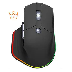 Ergonomic Gaming Mouse Computer Accessories Wireless Bluetooth Stereo Mouse RGB Backlit OEM IDM ODM