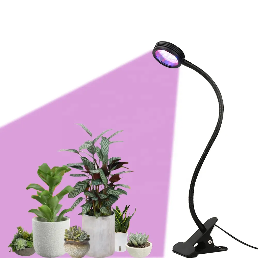 LED植物成長ランプブラックラウンドシングルヘッドミニグースネック盆栽照明2022新工場卸売