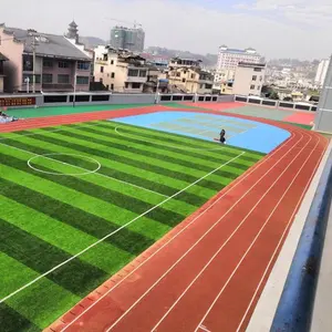 IAAF Certificate 13mm Jogging Running Track Cost Synthetic Athletic PU Rubber Runway Tartan Track
