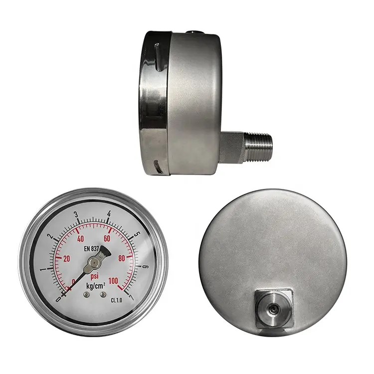 ACCURACY Npt1/4 Gewinde 60mm Manometer Ss Metall gehäuse Axial Back Connection Typ Manometer