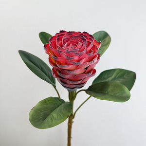 O-X975 Flor Artificial de Terciopelo Flocado, Rosa Protea Artificial, Decoración para Bodas y Fiestas en el Hogar, Tallo de Seda Realista, Venta al por Mayor de Artículos Florales - Product Image 5