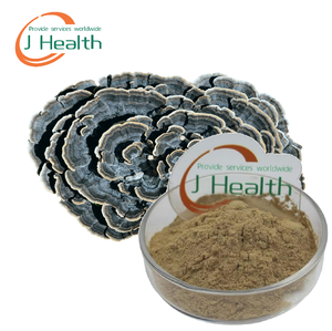 ผงสารสกัดจากเห็ด <span class=keywords><strong>Coriolus</strong></span> <span class=keywords><strong>Versicolor</strong></span> โพลีแซคคาไรด์ Krestin30 % - Product Image 1