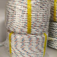 Cuerda de Pesca de Plástico PP, Estructura Trenzada de 3/4 Hilos, Color Personalizado, Diámetro de 1-30 mm, Cuerda de Embalaje