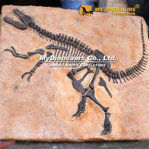 Esqueleto fósil dinosaurio Velociraptor realista My Dino Mundo Jurásico de los años 2000 - Product Image 6
