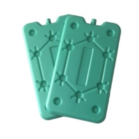 Nourriture médicale instantanée de poche de glace de gel de paquet froid de petite taille