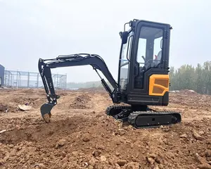 Cina mini escavatore 1 ton 1.7 ton 2 ton CE EPA escavatore miniescavatore per stati uniti ed europa