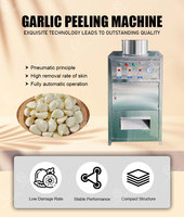 Machine à peler l'ail pneumatique à faible dommage, équipement de pelage d'ail sec à pression d'air