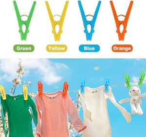 High Quality Colorful PP Plastic Clothes Clips-Durable Eco-Friendly Multifunctional for Household & Living Room Use - Product Image 4