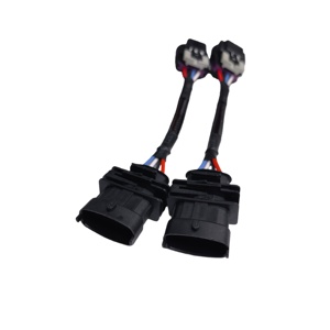 Auto 2 Pin Verlenging Mannelijk Naar Vrouwelijk Draadharnas Op Maat Voor Auto 'S - Product Image 3