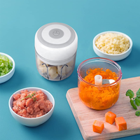Mini Robot Culinaire Électrique Portable et Sans Fil Rechargeable de 250 ML avec Lame en Acier Inoxydable, Hachoir à Ail
