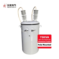 Transformateur monophasé monté sur poteau, hermétique, rempli d'huile, 25 kVA, 50 kVA, 75 kVA, 100 kVA, fréquence 50/60 Hz, réservoir cylindrique