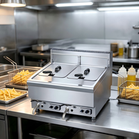 Friteuse professionnelle à gaz double cuve en acier inoxydable pour comptoir, idéale pour la friture de pommes de terre et de poulet