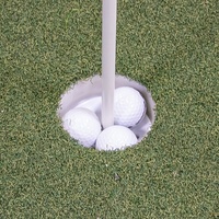 Mini bâton de drapeau vert de putting de pratique de golf d'arrière-cour avec la tasse de poteau de trou