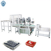 Machine d'étiquetage automatique de conteneurs SKILT pour boîtes de fraises, étiqueteuse de plateaux, haute précision, portable