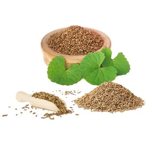 Suministro a granel de semillas de carrom, semillas de especias naturales Ajwain, ideales para formulaciones de alimentos de condimentos culinarios y necesidades diarias de cocina - Product Image 2