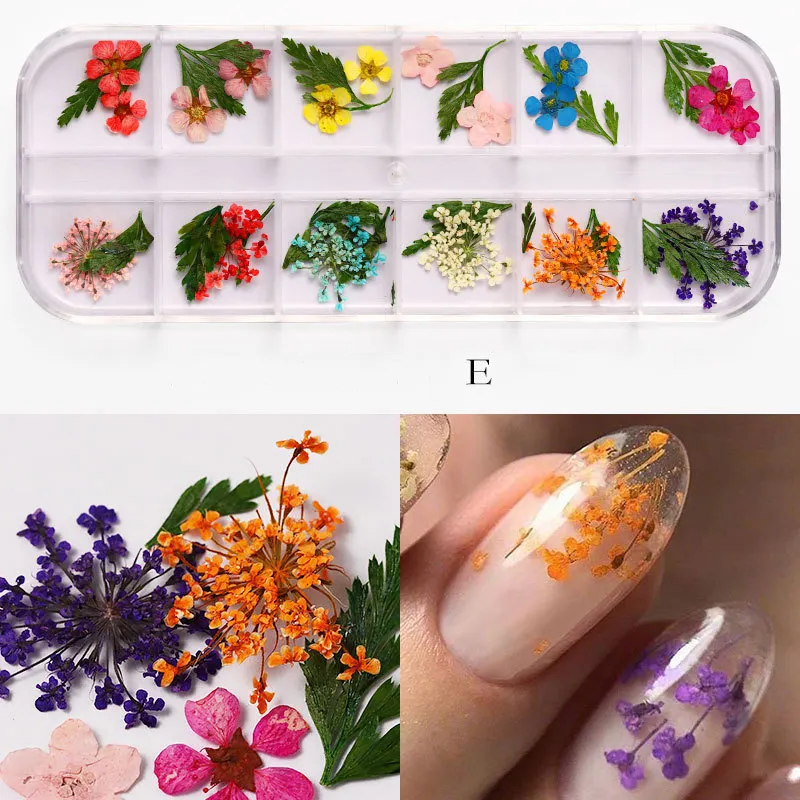12 colori veri fiori secchi Nail Art 3D Mixing Design Lace Gel Polish accessori fai da te decorazioni per unghie ciondolo per unghie