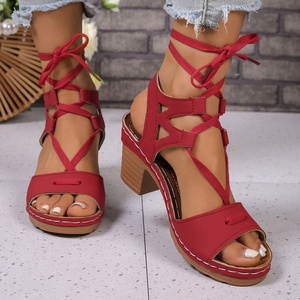 Chaussures de mariage pour femmes style européen et américain 2026, sexy, été/hiver, légères, à talon compensé ultra-haut, à brides croisées en T, style coréen - Product Image 3