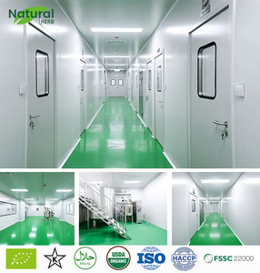 מדגם חינם מזון כיתה כלורלה תמצית טבליות בריאות למבוגרים עבור נשים בהריון מפעל אספקת כלורלה - Product Image 5