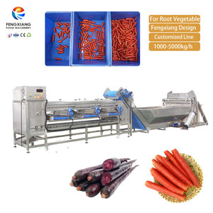 Máquina de lavado y clasificación de hortalizas de raíz (zanahorias, rábanos) con línea de procesamiento personalizada de 1000-5000 kg para fábricas de frutas, zanahorias y remolachas - Product Image 1