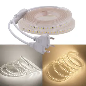 high quality warm white Intelligent control can change color outdoor ip65 led light stripe or strip light 5m