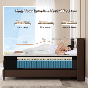 King Queen Hybrid Matelas Eurotop avec gel en mousse à mémoire de forme Matelas à ressorts ensachés Matelas doux et respirant à soulagement de la pression - Product Image 6