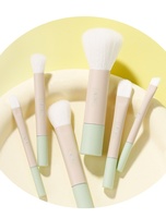 Ensemble de 6 pinceaux portables, pinceau pour poudre, blush, ombre de nez, pinceau cosmétique, mini pinceau de maquillage pour débutant