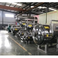 Stérilisateur à autoclave pour champignons pour l'industrie agroalimentaire, pour bocaux en verre
