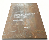 Plaque d'acier résistante à l'abrasion NM500 pour les godets d'excavatrices et les pièces de chargeuses