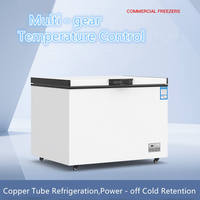 Congélateur coffre commercial d'occasion à température unique, à refroidissement direct, en acier inoxydable pour restaurant, supermarché et cuisine