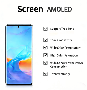 Écran tactile AMOLED de remplacement pour smartphone, produit par BOE, compatible avec Vivo X100, 100 Pro, X100s Pro - Product Image 3
