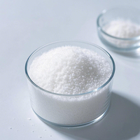 Polyacrylamide Anionique PAM Granulaire pour le Traitement des Résidus et la Séparation Solide-Liquide
