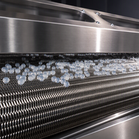 Ligne de production automatique de boba éclatante, équipement de formage de boules de jus de fruits, contrôle PLC, acier inoxydable 304