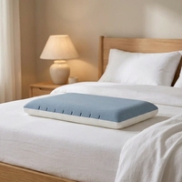 Oreiller de sommeil en mousse à mémoire de forme respirante, coussin ergonomique pour le cou, compression sous vide, gain de place, literie pour toutes les positions de sommeil