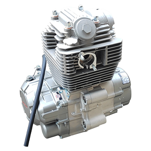 Moteur Bajaj ZS172FMM-3A à transmission par chaîne, 4 temps, refroidissement par air, CB250-F, à vendre avec moteur 5 vitesses pour moto Baja - Product Image 6