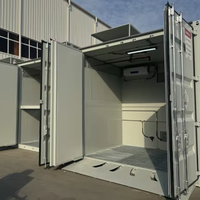 Armoire de stockage de produits chimiques dangereux SCEELAB, type étagère, pour extérieur, avec étagères, pour usage industriel en usine